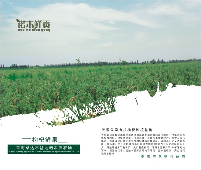 &#24517;&#36194;&#22312;&#32447;&#23458;&#26381;&#45;&#24517;&#36194;&#40;&#20013;&#22269;&#41;